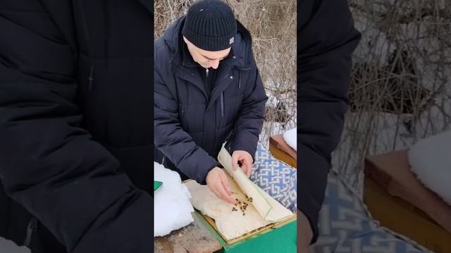 обработка рано весной бипином