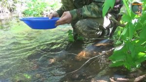 Разведка ручьёв (часть третья)