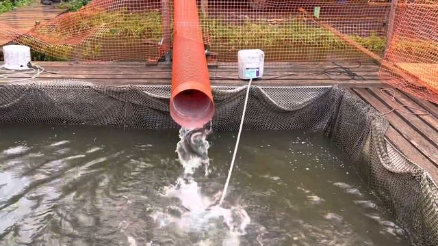 25 мая 2023 г. смотреть онлайн