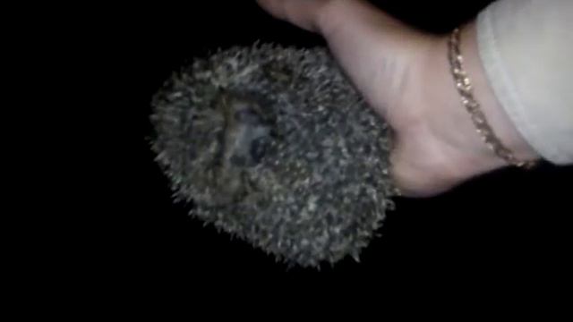 ПРИКОЛ, МЕГА РЖАЧ смотреть онлайн