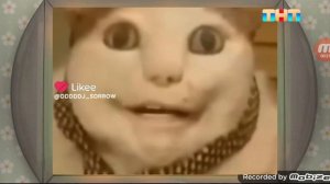 барбоскины вырезанный фрагмент 23.12.2024