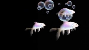 Плывущие 3 рыбки в воде с пузырями со звуком! Бульканье пузырей.