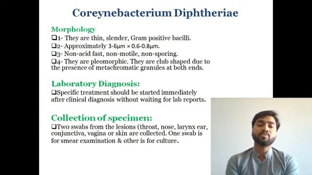 Corynebacterium | Introduction | Lab Diagnosis | Direct microscopy (By Abhishek sir) смотреть онлайн