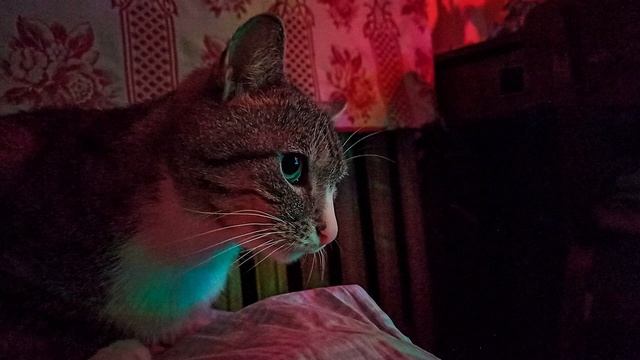 ATMOSPHERIC PHONK 2025 CHILL