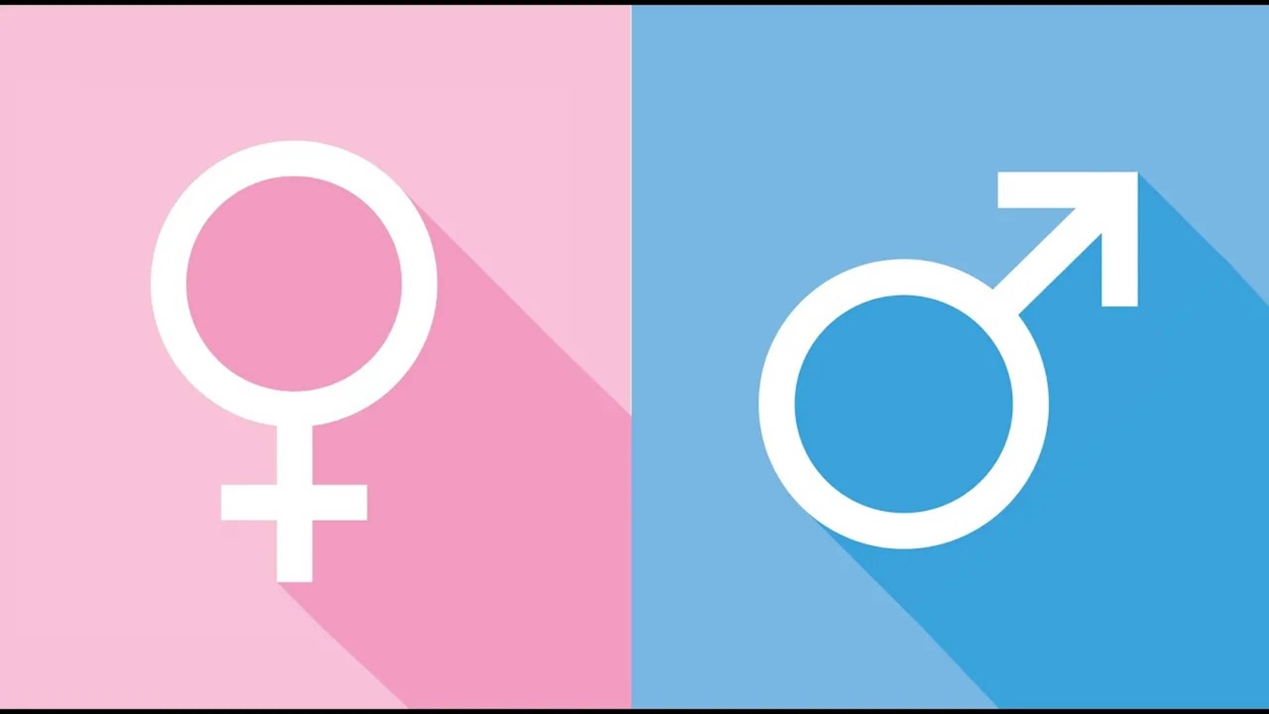 Лучшее Gender Parity МОСКВЫ