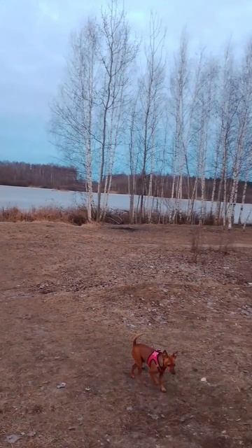 Восход 🌅 закат 🌇 смотреть онлайн