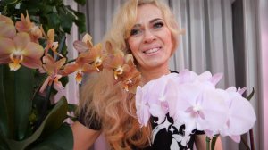 Пришла весна. Начинаем все сначала 😄. Обещала, показываю. Напоминаю методы лечения.