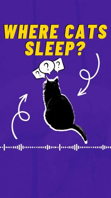 🐈❗️Where Cats Sleep❗️❗️❓| Cat Sleep, Cats Lovers #shorts смотреть онлайн