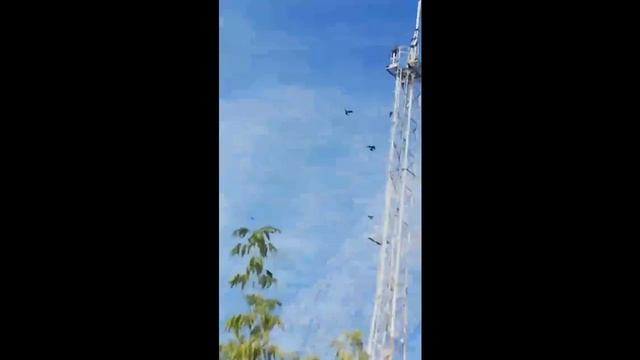 Кх рейд+видео от соплеменников и реплика Плутона смотреть онлайн