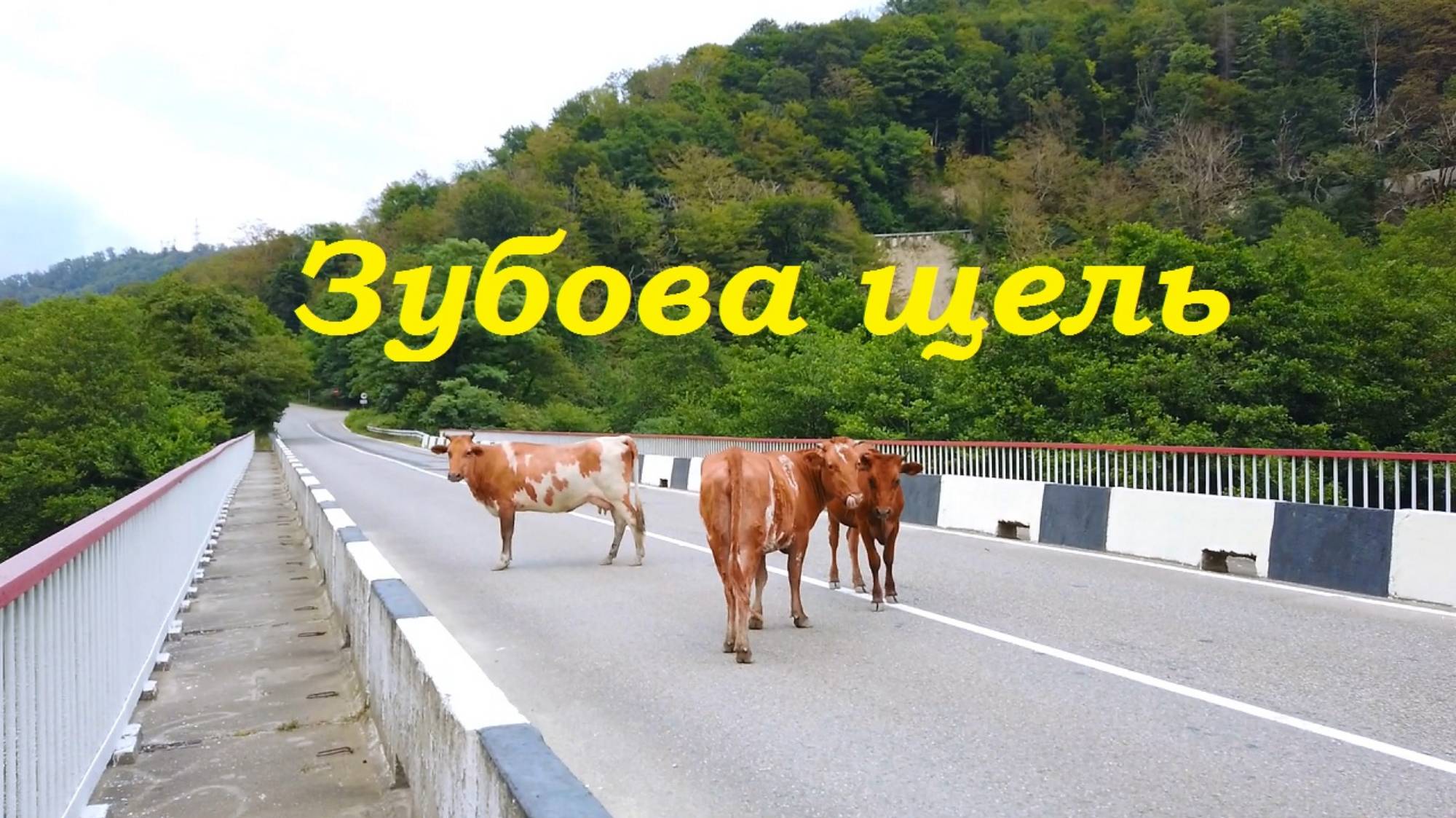 Укромные Сочинские местечки. Зубова щель. смотреть онлайн