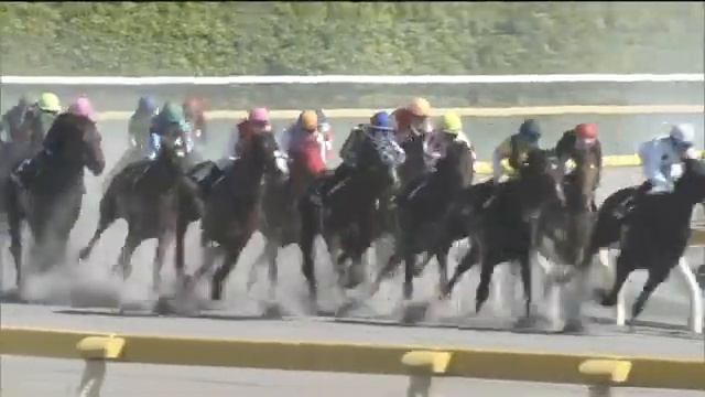 2020.05.17 Seiryu Stakes (JPN) - Dieu du Vin смотреть онлайн