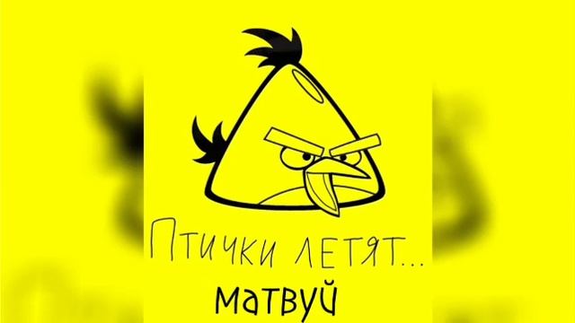 ПТИЧКИ ЛЕТЯТ Бомбить ПОРОСЯТ:1 ЧАС!!!