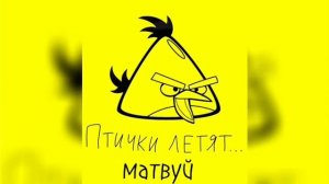 ПТИЧКИ ЛЕТЯТ Бомбить ПОРОСЯТ:1 ЧАС!!!