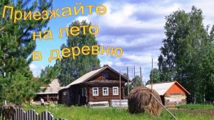 Приезжайте на лето в деревню