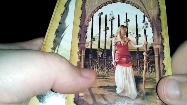 Mystic Dreamer Tarot Review Pt 2 Minor Arcana Wands & Cups. смотреть онлайн