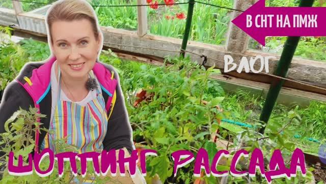 СТАРАЯ ДАЧА | Шопинг РАССАДА №20 В СНТ НА ПМЖ смотреть онлайн