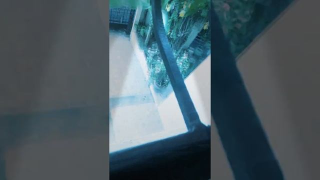 Glosen смотреть онлайн