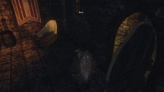 Risen LP 12 - 6/6 - CSI Volcano Keep part 2 смотреть онлайн