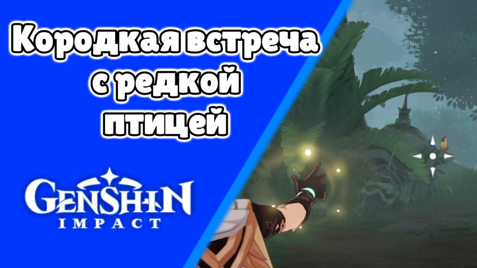 Задания мира Кородкая встреча с редкой птицой Шефкет | Сумеру | Озвучка | Genshin Impact смотреть онлайн
