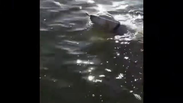 Ловись рыбка большая и маленькая смотреть онлайн