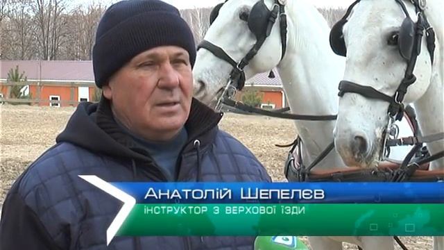 У Харкові оселились американські поні смотреть онлайн
