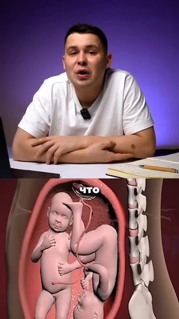 Близнец пинает брата в животе смотреть онлайн