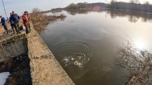 КОГДА он КЛЮЁТ, ВСЯ ТОЛПА ЗАМИРАЕТ! Рыбалка на поплавок на реке в весной
