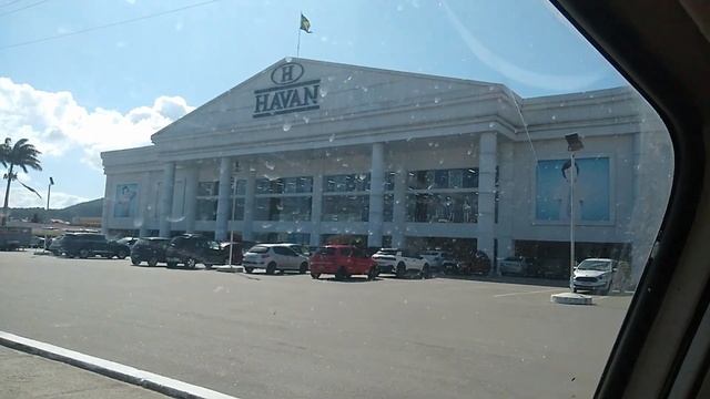 frutíferas produzindo em vaso fazemos trocas de mudas e estamos enviando para todo o Brasil смотреть онлайн