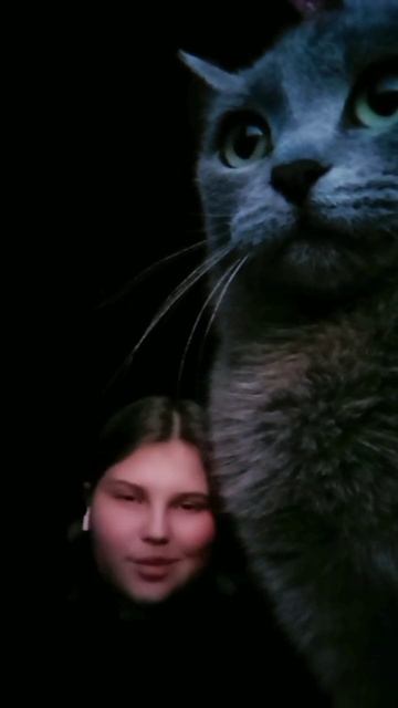 #егоркрид @kreed #трек #топчик #заяц #бани #котик смотреть онлайн