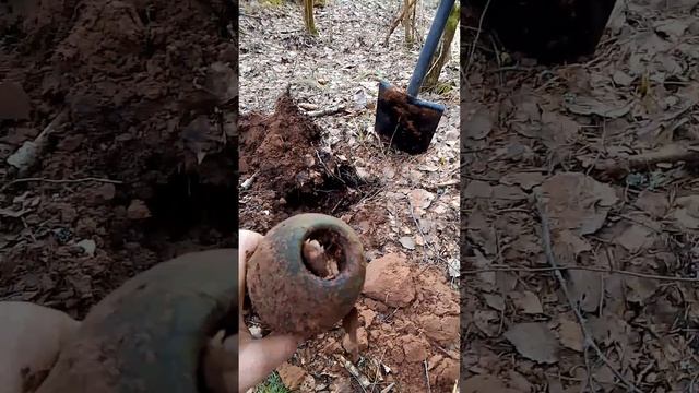 поиски металлоискателем