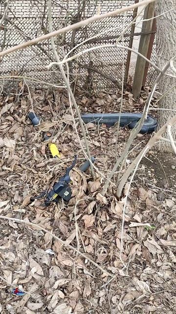 Подснежники 🌷 смотреть онлайн