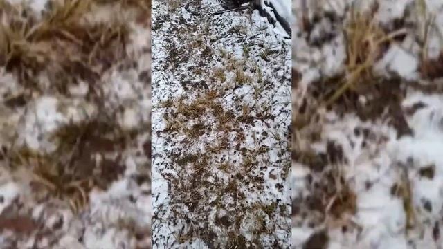 Коптильня своими руками. Коптим рыбу. смотреть онлайн