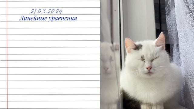 Линейные уравнения 7 класс смотреть онлайн