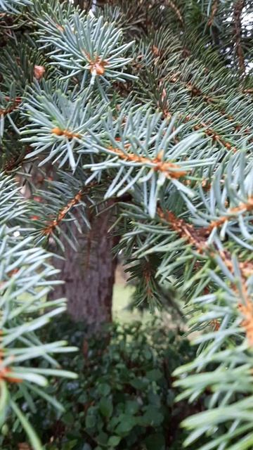 20230917_115927 смотреть онлайн