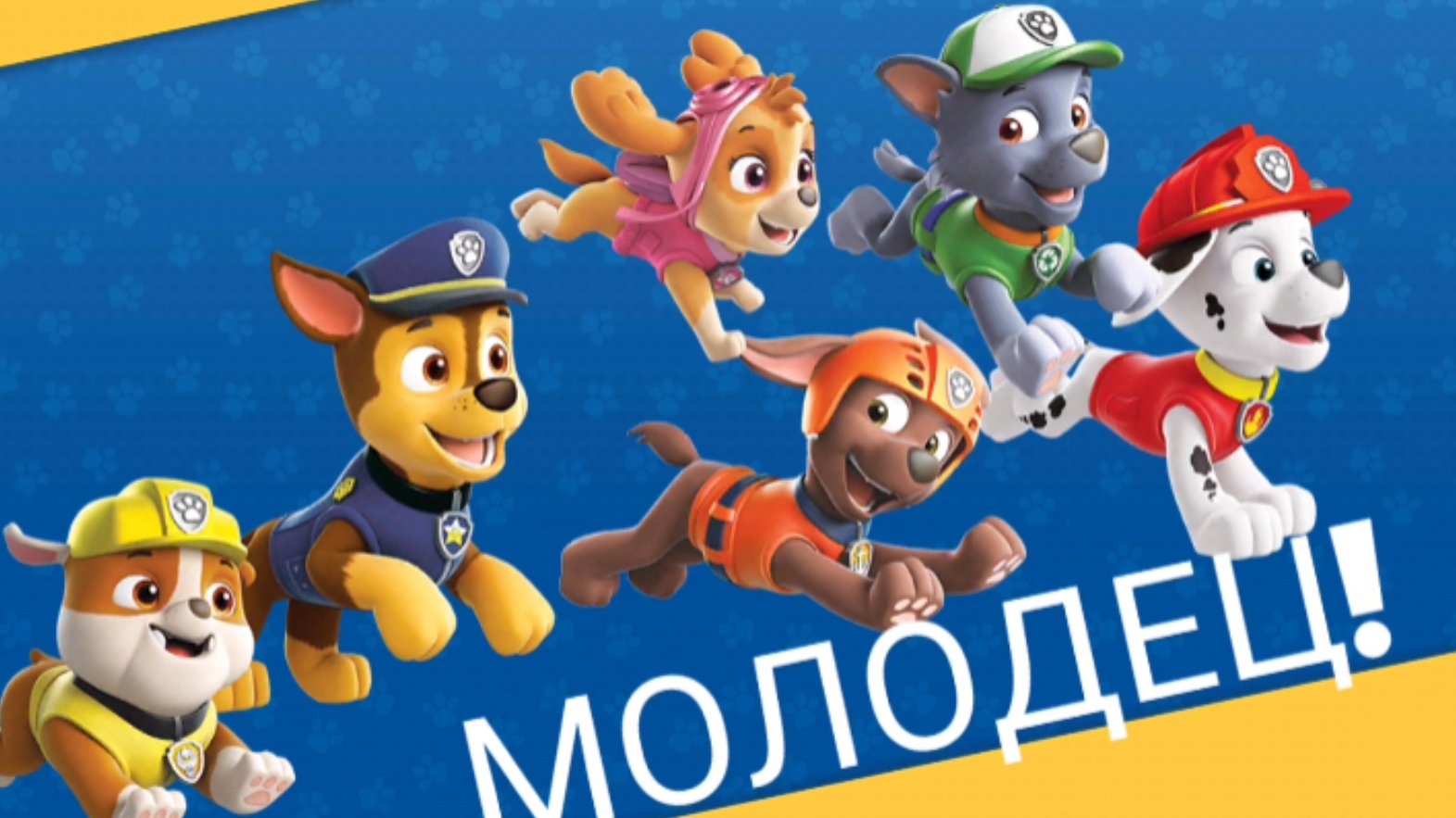 Paw Patrol. Щенячий патруль спасает мир
