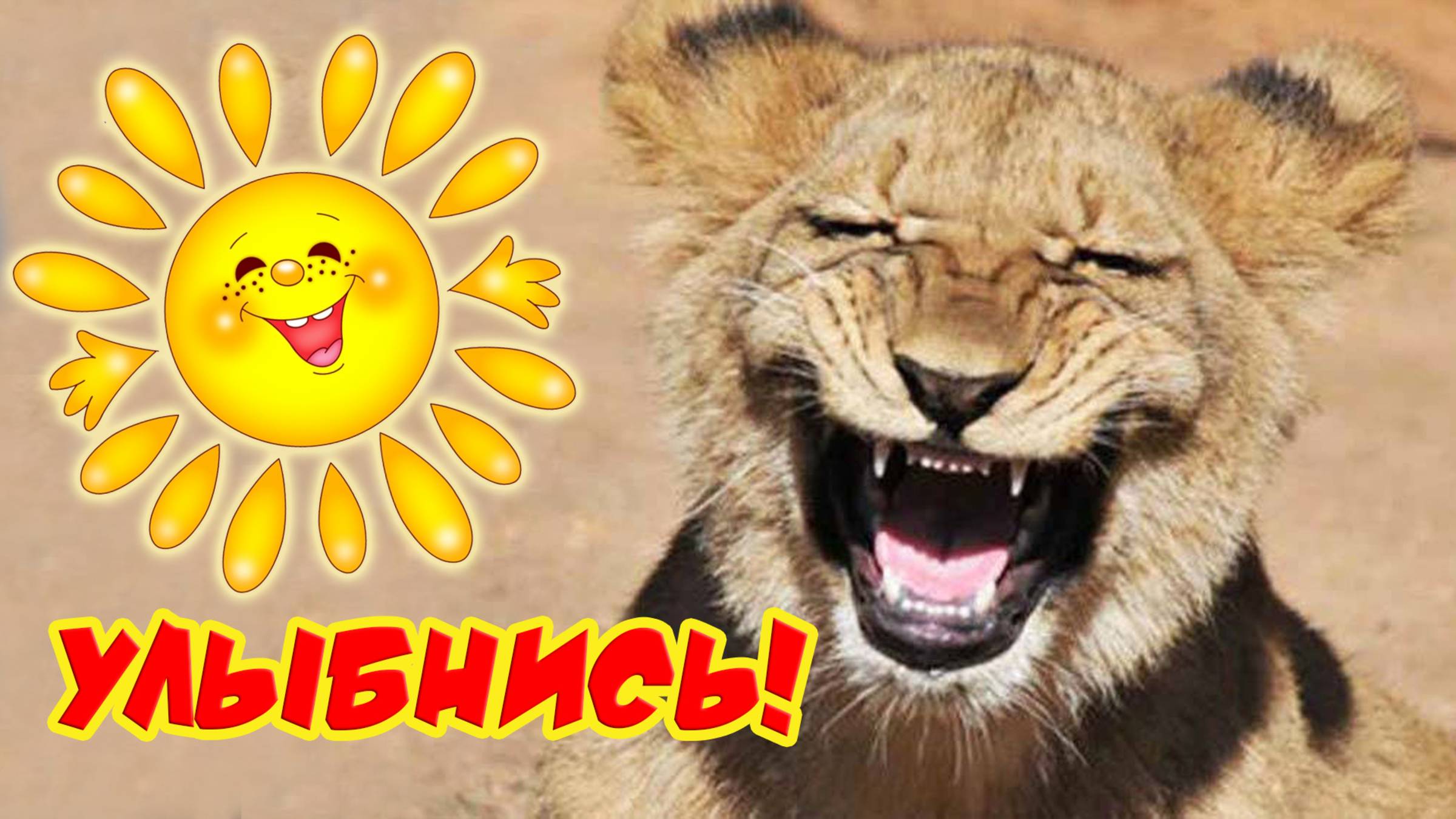 Улыбнись! Открытки хорошего настроения смотреть онлайн