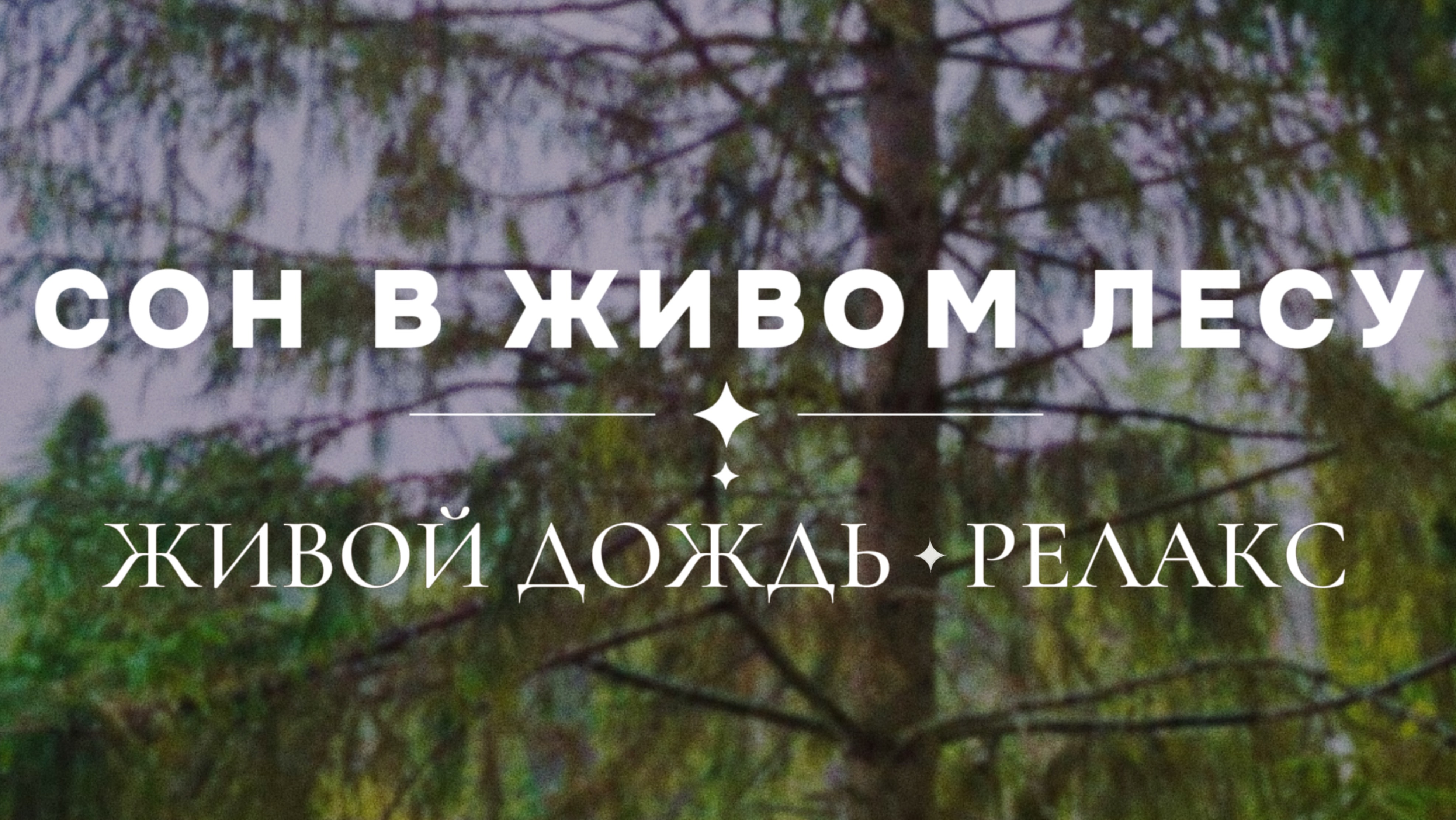 3 часа беспрерывного успокаивающего дождя. Живая природа. Божественная энергия для релаксации. смотреть онлайн