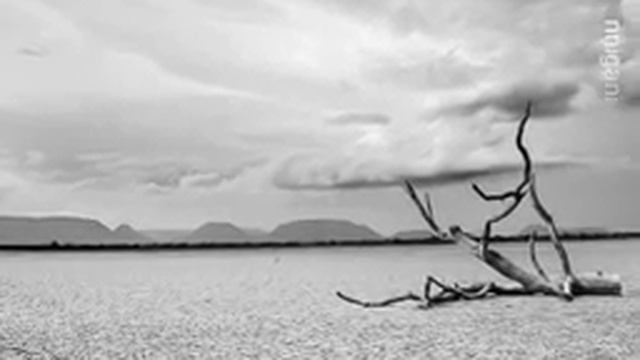 Vinicio Capossela - Estate смотреть онлайн