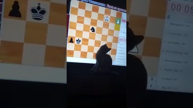 Басик учится игре в шахматы смотреть онлайн