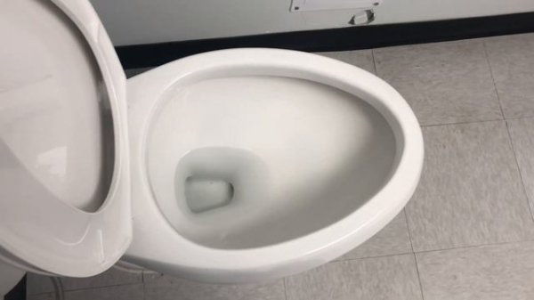 Унитаз в Америке 🚽🚰🧻#wc #restroom 🇺🇸