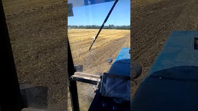 Начало уборки #1 смотреть онлайн