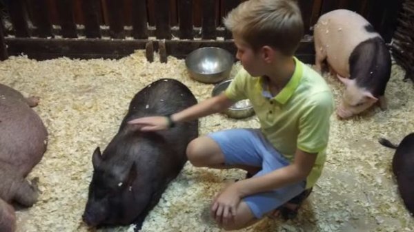 Летний языковой лагерь Pilot Laguage School