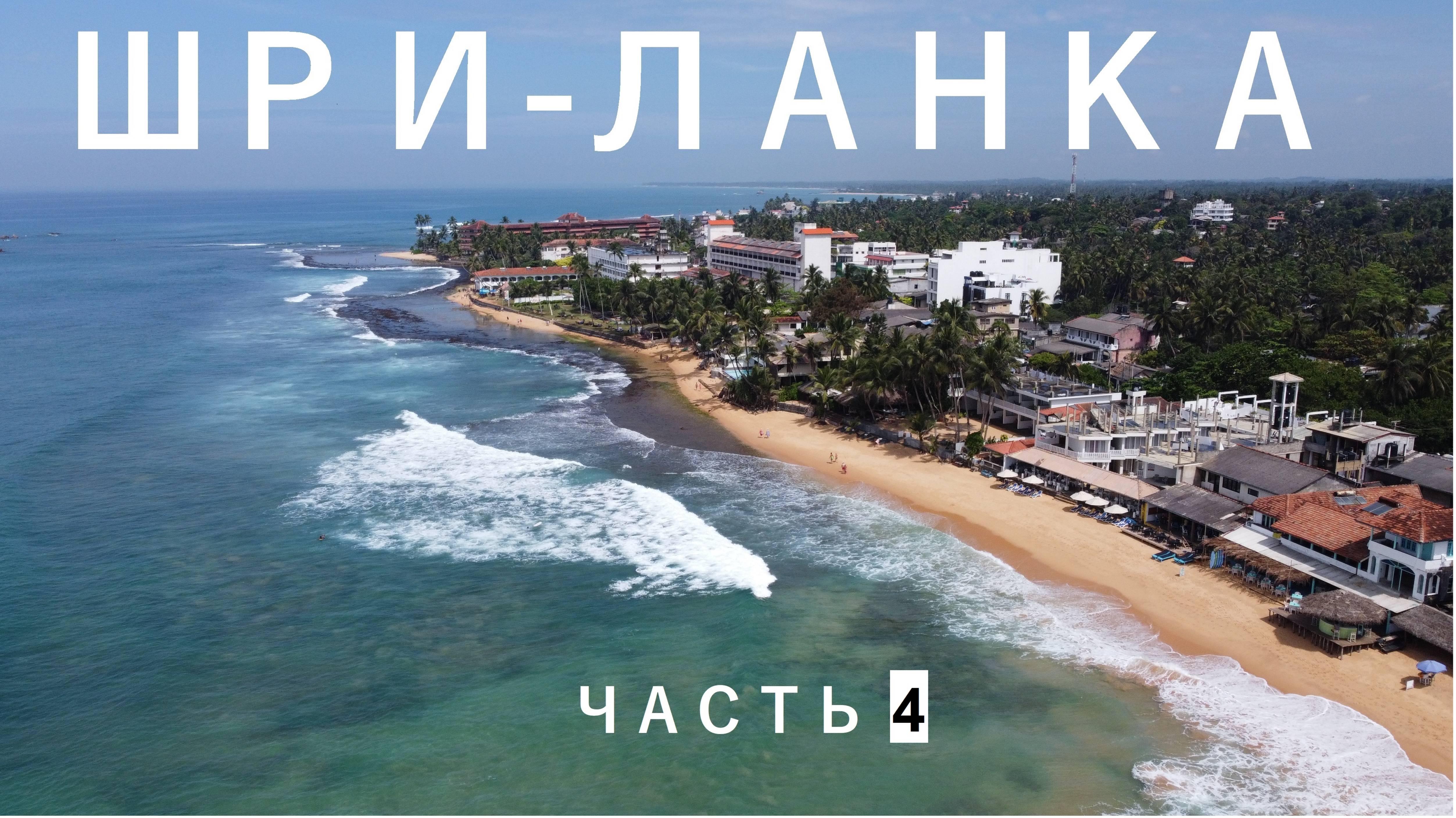 Шри-Ланка часть 4 - 2023