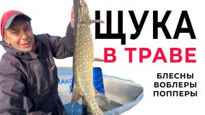 Ловля щуки в траве. Лучшие приманки для рыбалки на щуку!