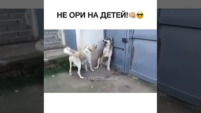 Семейные разборки... смотреть онлайн