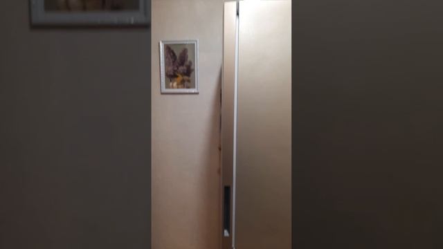 4887527 смотреть онлайн