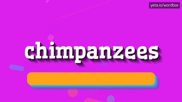 CHIMPANZEES - HOW TO PRONOUNCE IT!? смотреть онлайн