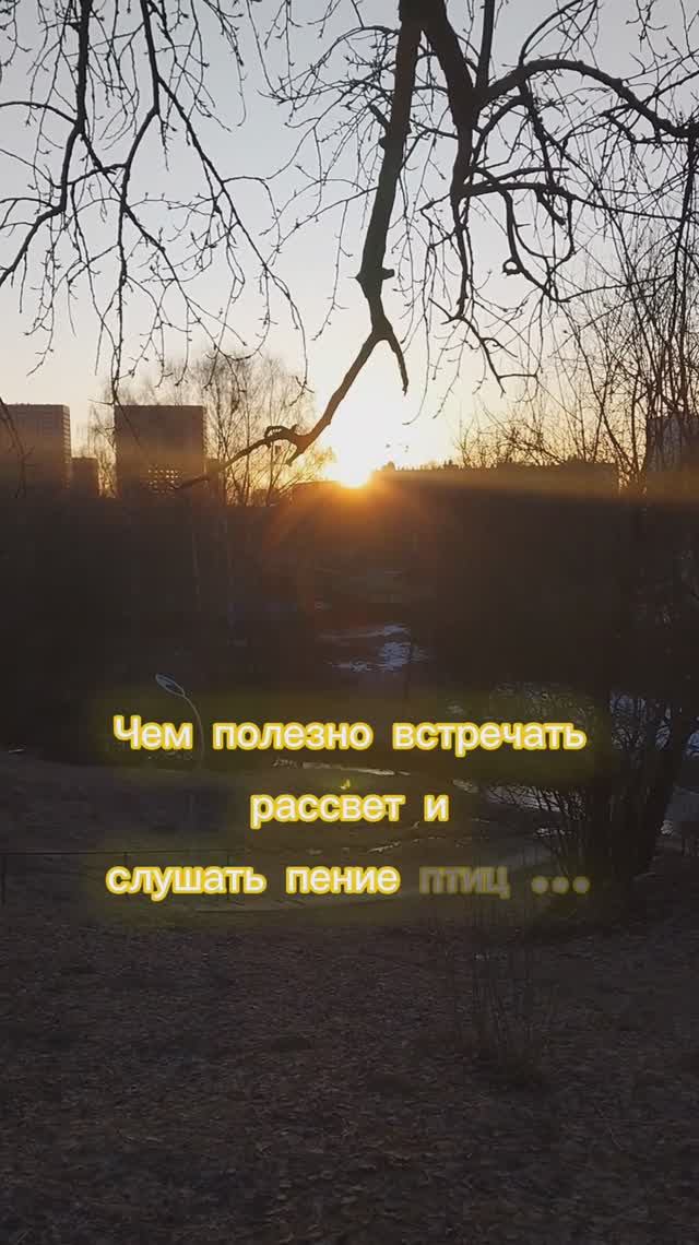 Чем полезно встречать рассвет и слушать пение птиц