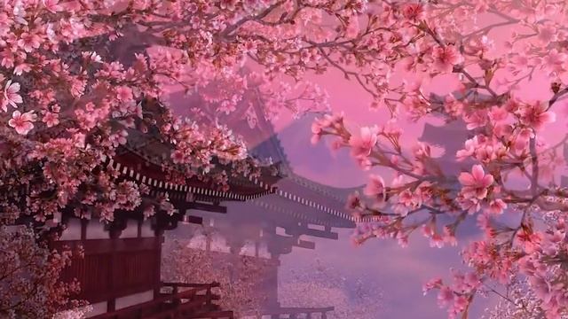 Sakura Live Wallpaper