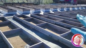 Очищаем княжики от листвы и убираю с розариев плёнку. Что в питомнике? Работы в саду. 23 Марта!